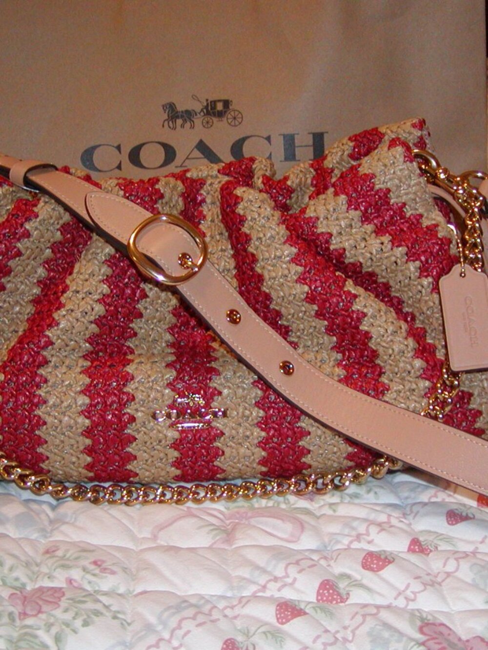 NWT Coach Bag